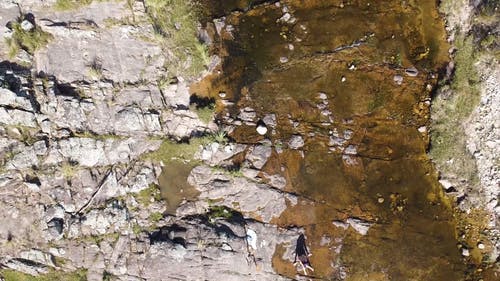 有关岩石, 树木, 水的免费素材视频