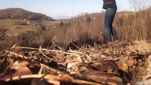 一个女人和她的狗在山上漫步 · 免费素材视频