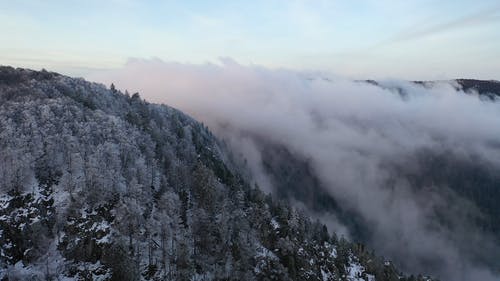 覆盖森林山部分地区的云层 · 免费素材视频