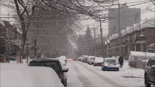 在加拿大白雪覆盖的街道 · 免费素材视频
