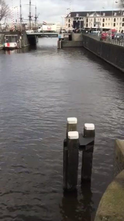 有关停泊处, 垂直视频, 城市街的免费素材视频