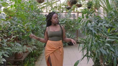 一个女人走路和抚摸温室内植物的叶子 · 免费素材视频