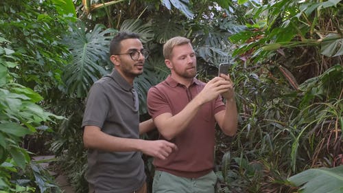 两名男子热情地使用智能手机为植物园的植物拍照 · 免费素材视频