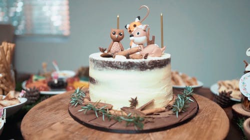 设计有动物造型的生日蛋糕 · 免费素材视频
