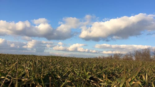 天空中的积云随风移动 · 免费素材视频