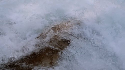 有关天性, 急流, 水的免费素材视频