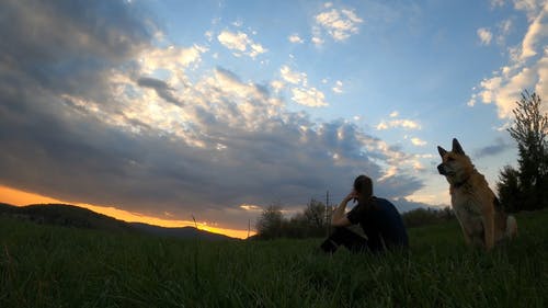 有关傍晚天空, 剪影, 坐下的免费素材视频