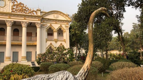 有关临街, 修剪花草, 外观的免费素材视频