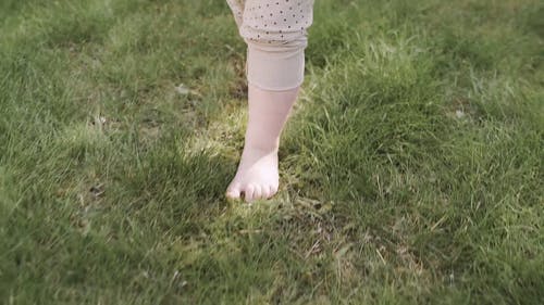 有关人, 儿童, 可爱的的免费素材视频