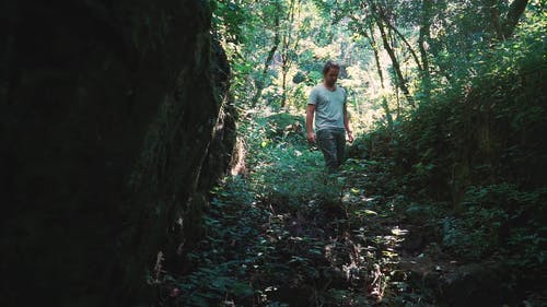 有关人, 冒险, 丛林的免费素材视频