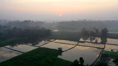 有关下田, 农村, 图案的免费素材视频