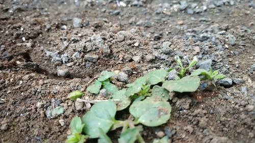 有关土, 地面, 均匀性的免费素材视频