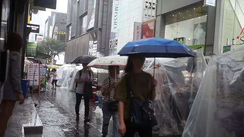 在下雨天走着伞的人 · 免费素材视频