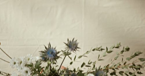 有关一串, 一束花, 一束鲜花的免费素材视频