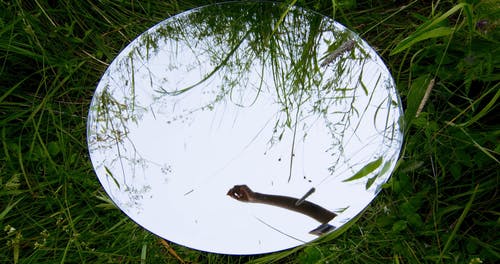 有关不露面, 匿名, 反射的免费素材视频