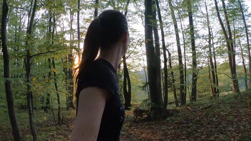 有关一起, 享受, 伴侣的免费素材视频