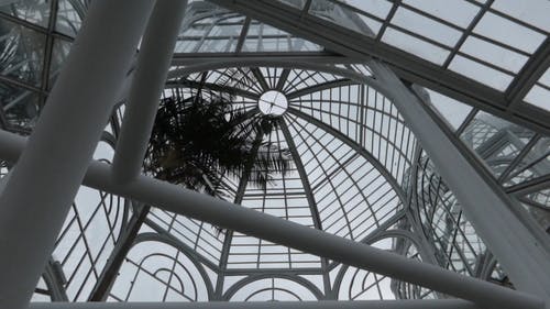 玻璃建筑 · 免费素材视频