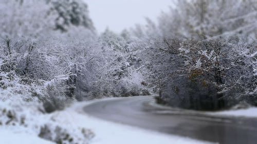 在下雪天旅行的车辆 · 免费素材视频