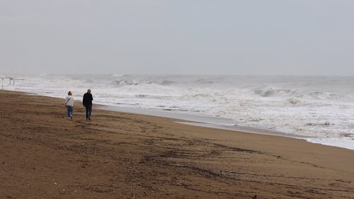 一对情侣在海边散步 · 免费素材视频