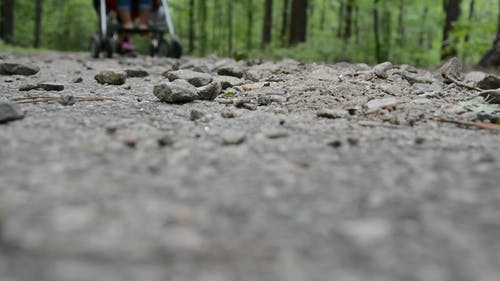 在森林的岩石步道推婴儿车 · 免费素材视频