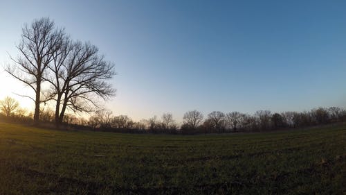 日出时风景秀丽的森林景观 · 免费素材视频
