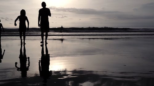 有关剪影, 反射, 慢动作的免费素材视频