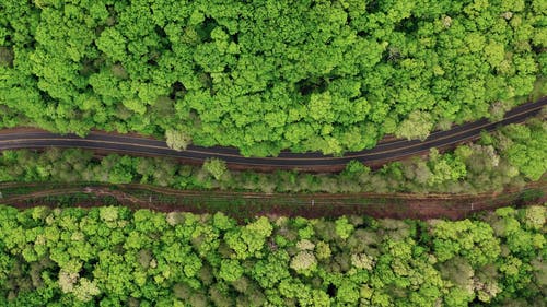 有关公路旅行, 无人机相机, 森林的免费素材视频