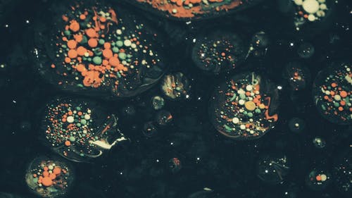 有关图案, 微距拍摄, 慢动作的免费素材视频