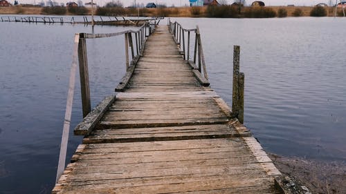 有关原本, 天性, 户外的免费素材视频