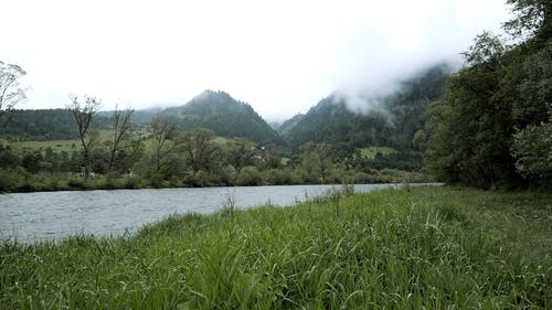 有关冷静, 天性, 山的免费素材视频