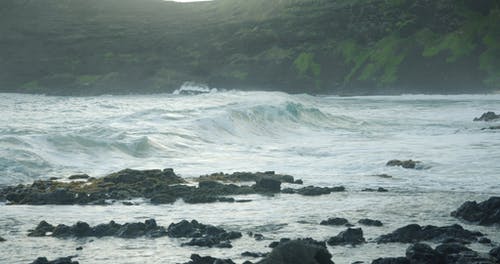 有关夏威夷, 大浪, 天性的免费素材视频