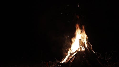 炽烈的篝火 · 免费素材视频