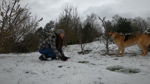 有关下雪, 冬季, 冬衣的免费素材视频