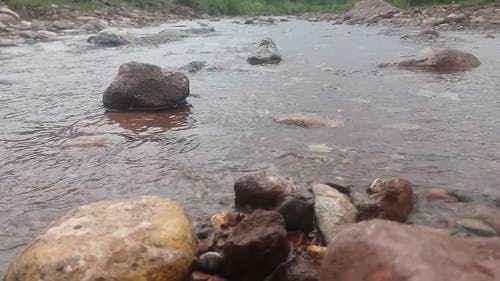 有关地形, 地面射击, 天性的免费素材视频