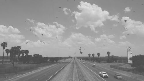 停泊在高速公路上的车辆的黑白视频 · 免费素材视频