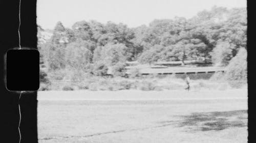和一个人在公园散步的旧视频 · 免费素材视频