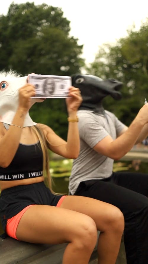 有关facebook的故事, horse mask, instagram故事的免费素材视频