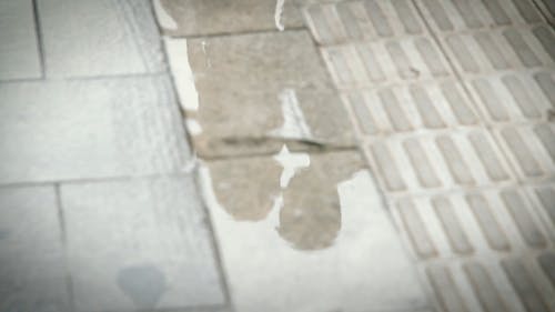 有关一对, 人们接吻, 反射的免费素材视频