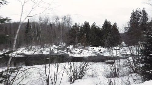 河流流淌在白雪覆盖的森林 · 免费素材视频