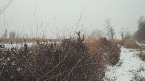 积雪覆盖地面上低洼的平坦表面 · 免费素材视频