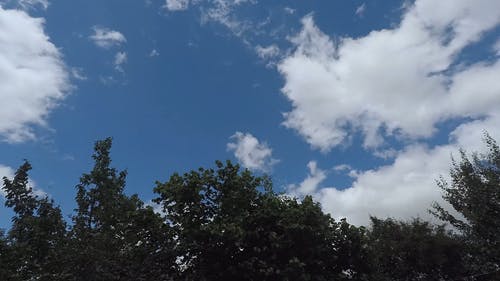 有关光, 夏天, 多云的天空的免费素材视频