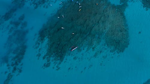 有关俯视图, 冒险, 天性的免费素材视频