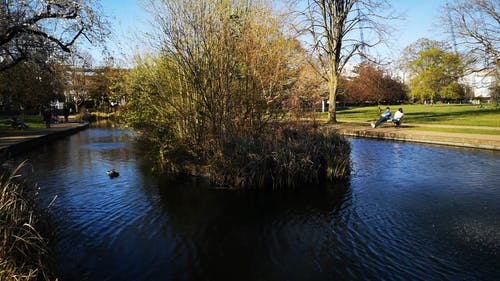 有关喷泉, 天性, 户外的免费素材视频