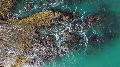 海浪视频 · 免费素材视频