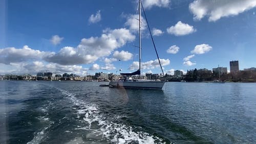 有关乘船旅行, 停止运动, 城市线的免费素材视频