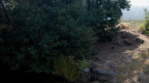湖的无人机画面在茫茫荒野中 · 免费素材视频