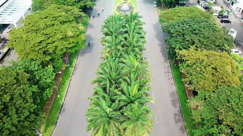 有关交通系统, 城市, 市中心的免费素材视频