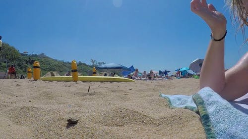 蠕虫眼中海滩人的镜头 · 免费素材视频