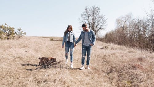 有关一对, 一起, 人的免费素材视频