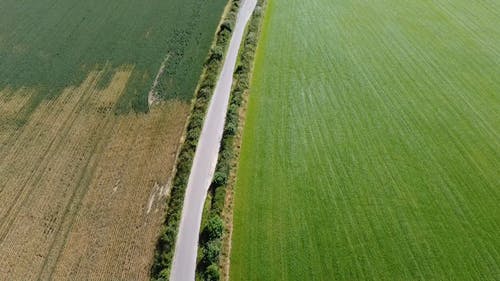 有关下田, 农业用地, 农场道路的免费素材视频